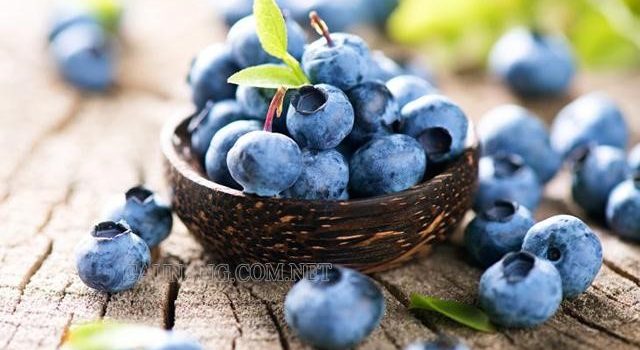 Blueberry là gì?