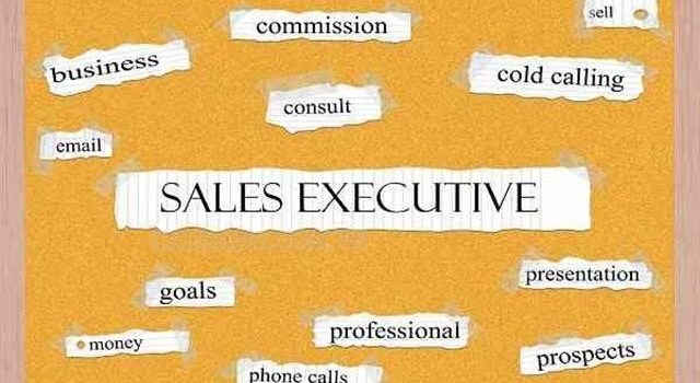 Sales executive nghĩa là gì?