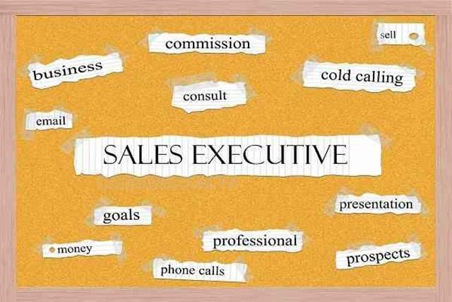 Sales executive nghĩa là gì?