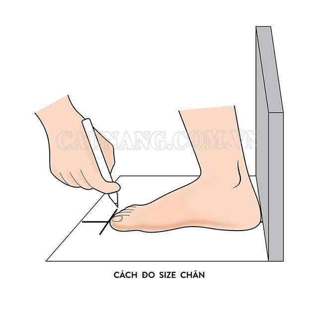 Cách đo size chân bằng giấy và bút