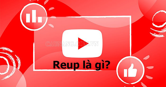 Reup youtube