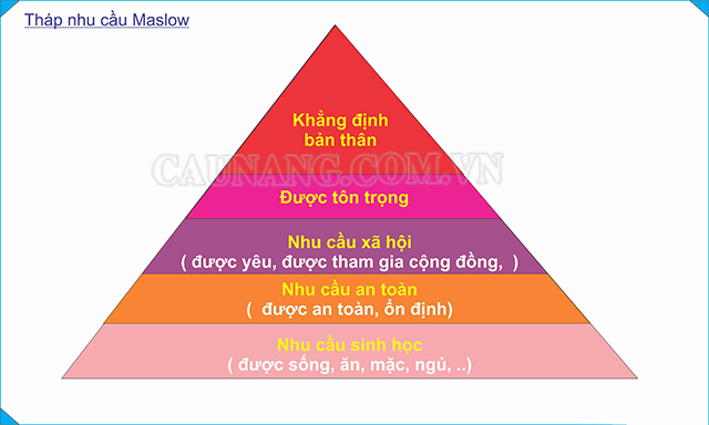 5 mức nhu cầu của tháp Maslow